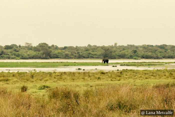 Pottuvil Lagoon