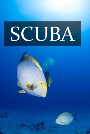 SCUBA Sri Lanka