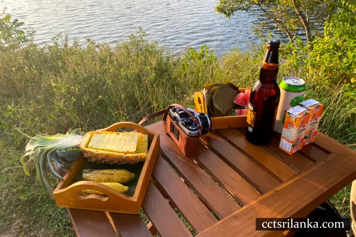Afternoon Safari with Exclusive Sunset Viewing Setup