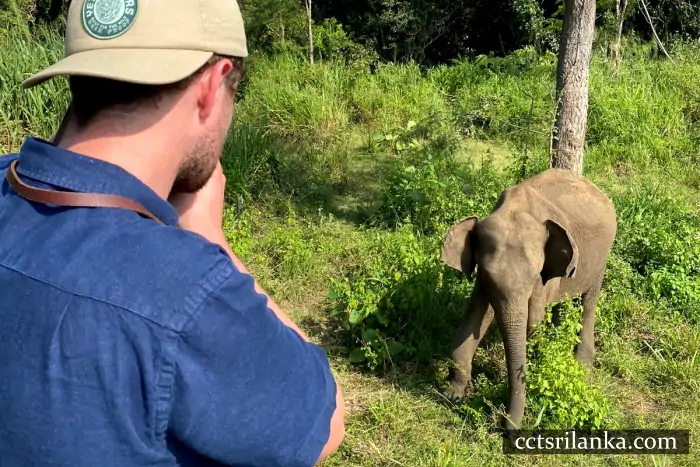 Afternoon Safari with Exclusive Sunset Viewing Setup