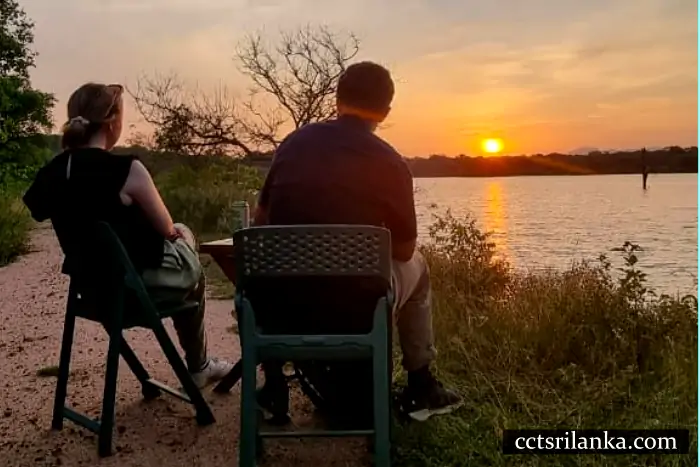 Afternoon Safari with Exclusive Sunset Viewing Setup