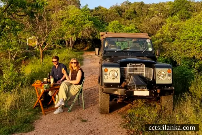 Afternoon Safari with Exclusive Sunset Viewing Setup