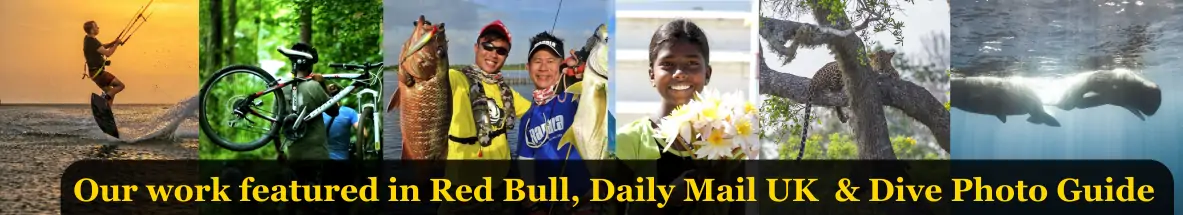 Our-works-featured-in-Red-bull-Dive-photo-Guide-Daily-Mail