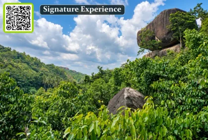 Cinnamon Country — Inside Sri Lanka’s Living Spice Tradition