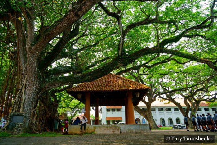 Galle Fort City