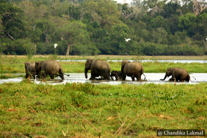 Laugala National Park