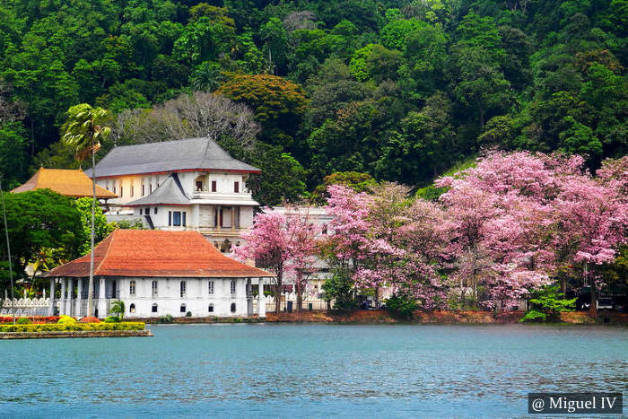 Bere Lake Kandy