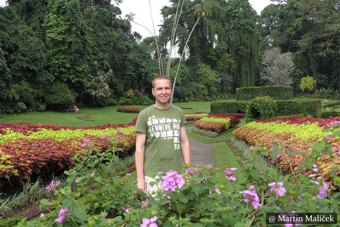 Peradeniya Botanical Garden Sri Lanka