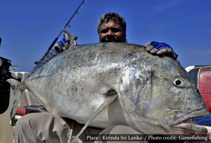 Fishing in Sri Lanka