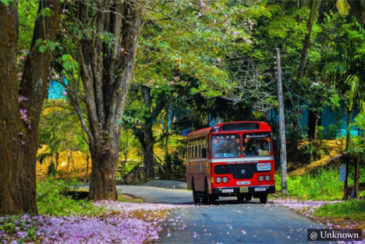 Travel in Public Buses Sri Lanka
