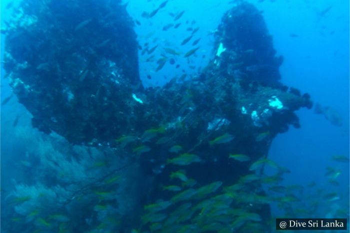 H.M.S. Hermes 9 - Scuba Dive Site - Batticaloa