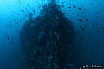 SS Worcestershire - Scuba Dive Site - Colombo