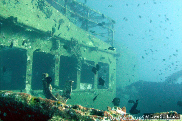 Cargo Wreck - Scuba Dive Site - Colombo