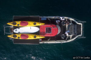 Deep Sea Fishing