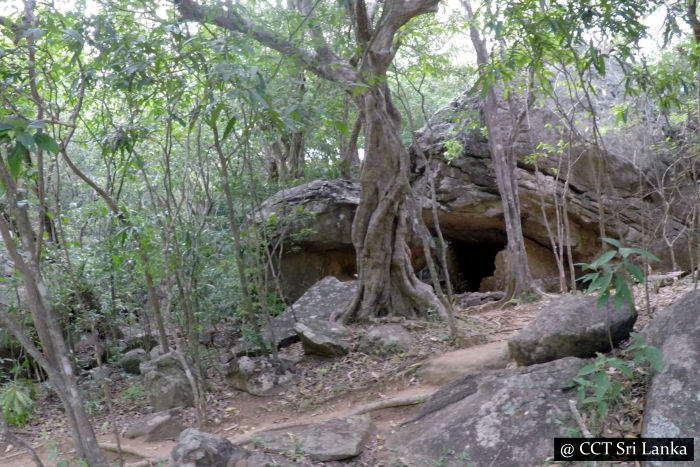 Dimbulagala Namal Uyana Archaeological Site