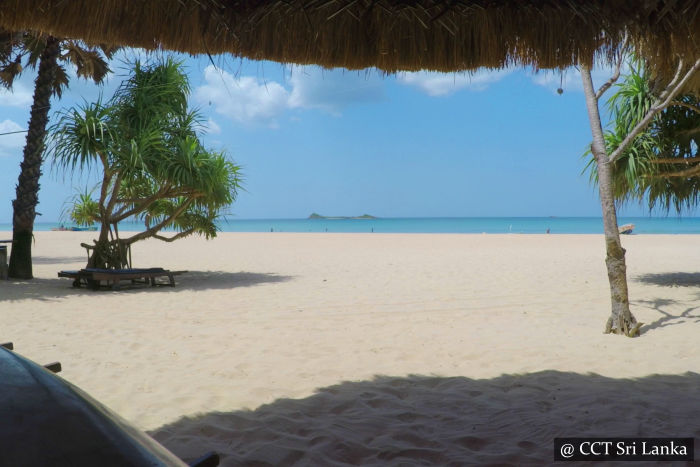 Snorkelling in Pigeon Island