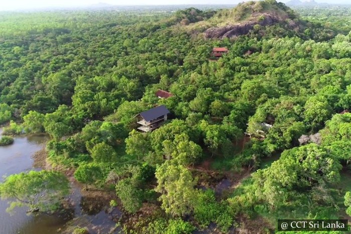 High tea on a rock in Dambulla