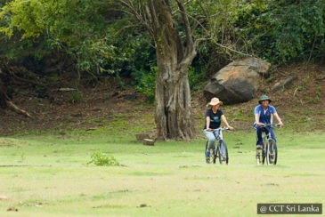 Guided cycling tour across rural villages, wild nature and isolated ancient ruins