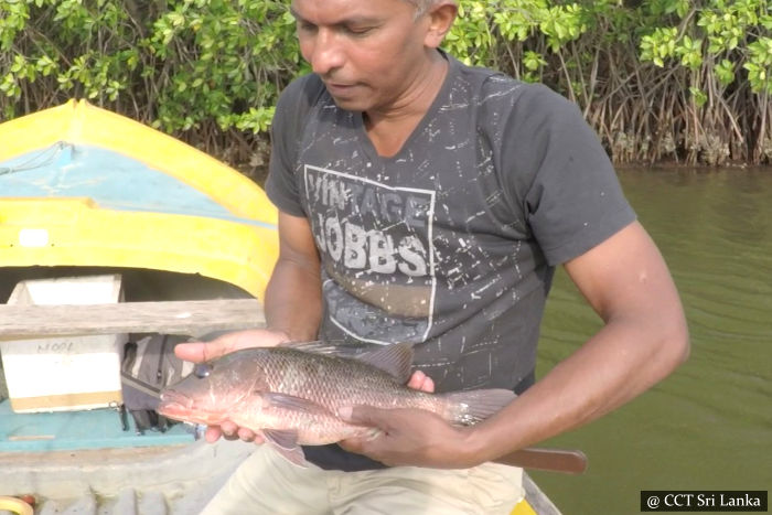 Lagoon Fishing - Gangewadiya Eluwankulama
