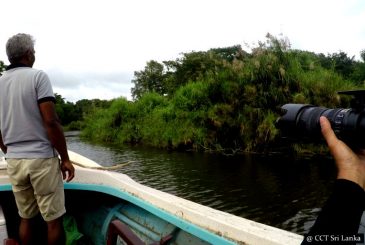 River safaris - From Gangewardiya & Eluwankulama