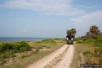 One Night in Delft Island - 6-Day Itinerary