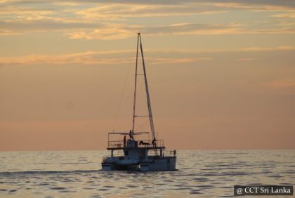 Colombo Port City Charter Sailing - 3 or 5 hrs - For Foreign Guests