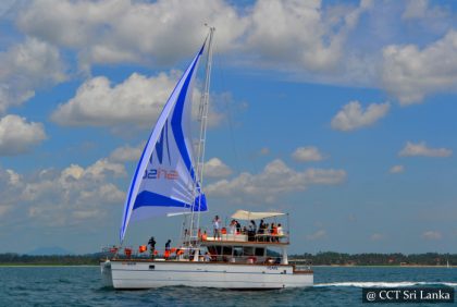 Kitesurfing in Kalpitiya - Liveaboard Tours Sri Lanka