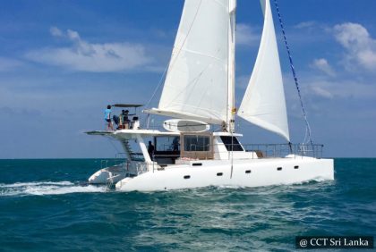 Colombo Port City - Charter Dolphin Watching - For Sri Lankans