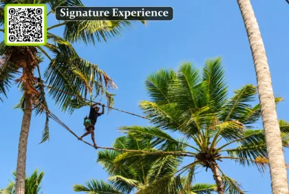 The Coconut & Toddy Experience