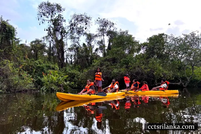 Mawella Lagoon Kayaking Safari