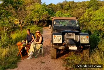 Afternoon Safari with Exclusive Sunset Viewing Setup