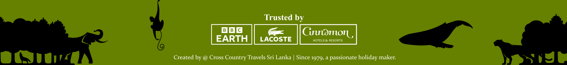 CCT Sri Lanka Website Footer