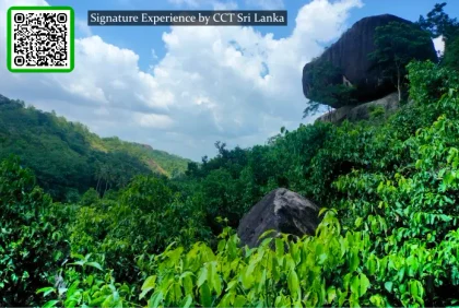 Cinnamon Country — Inside Sri Lanka’s Living Spice Tradition
